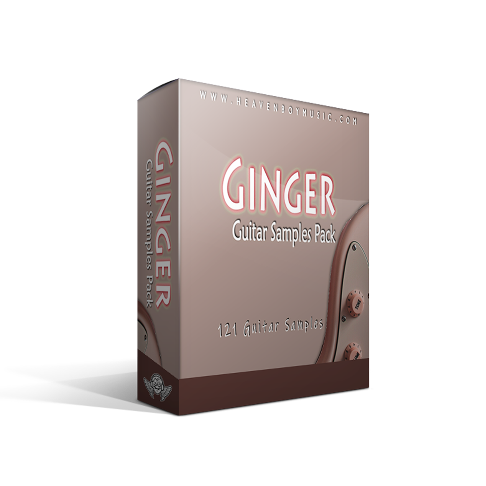 GINGER GUITARS 