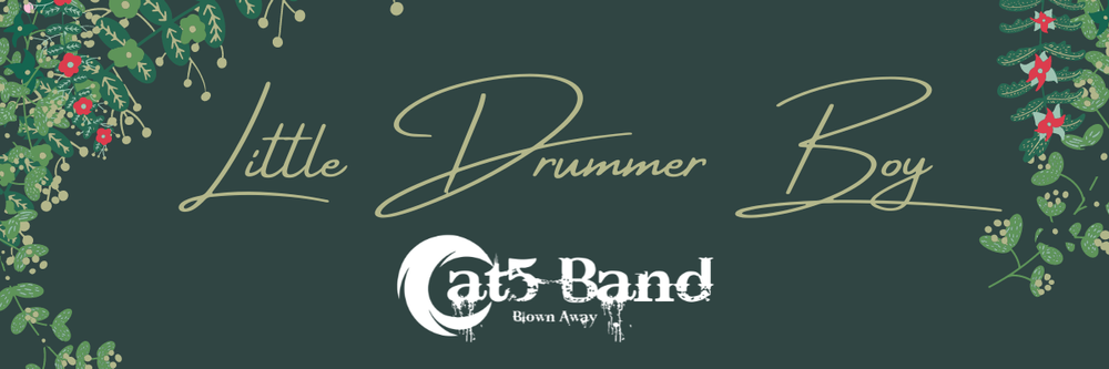 Cat5 Band Beach and the Boulevard