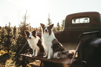 Photo by Sonya Ewing Photography
