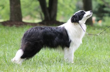 Ella at 11 months old
