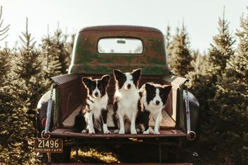 Photo by Sonya Ewing Photography
