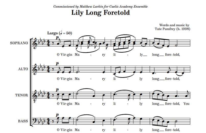 Lily Long Foretold - 20 Copies