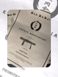 Karate Promotions 