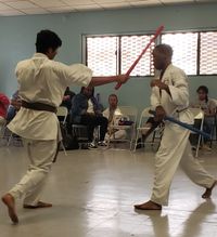 Karate Testing
