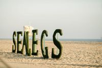Ted Z and the Wranglers @ Sea Legs