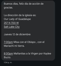 DIA DE LA VIRGEN