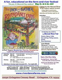MahaShakti and ELF at Riverdance Festival