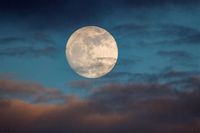 MahaShakti Music Full Moon kirtan, live stream on Facebook and Instagram.