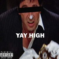 Yay High  by Tony W. Lane Ft. Don P. Santino 