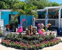 Ruby Deagon @ Emerald Islands Garden Center