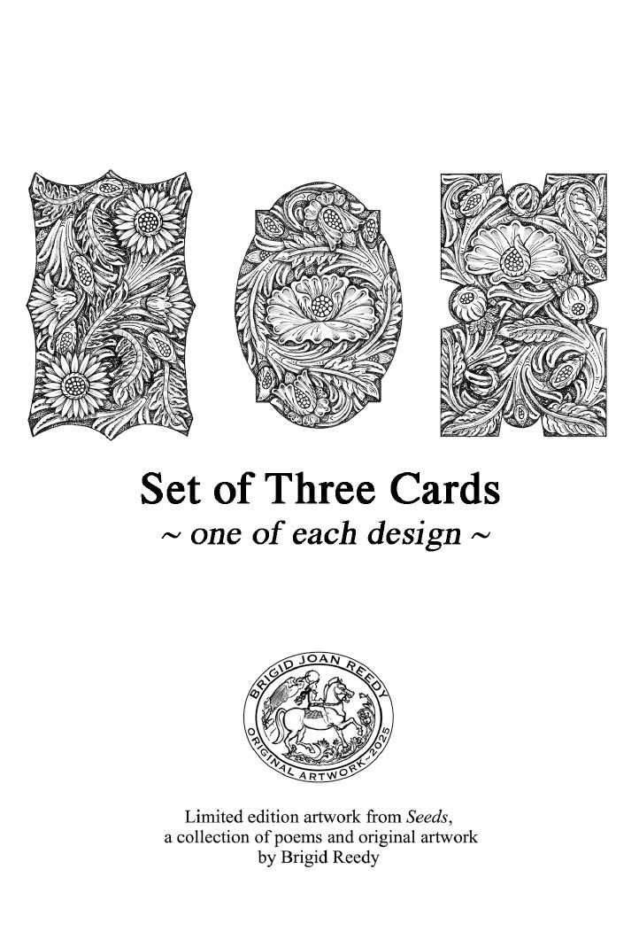 Set of 3 "Seeds" notecards 