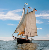Windjammer Gam--5 day cruise