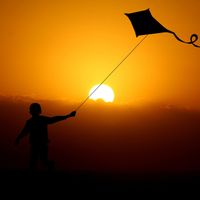 TIME  FLIES  LIKE  AN  IDIOT by VIC  CIRIC