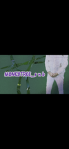 MONEYTREE_r n b