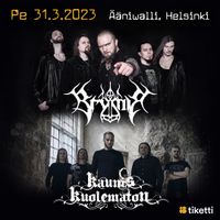ÄÄNIWALLI