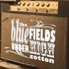 Under High Cotton