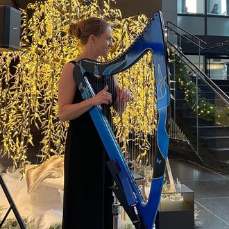 electric harp performance at a corporate event 28 State St Boston
