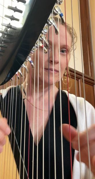 Shelley Otis harpist behind harp strings
