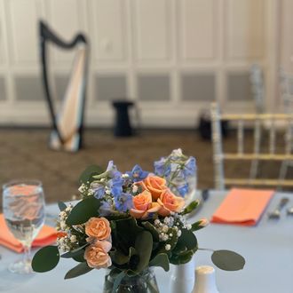 Harp in background at Easter brunch event, Renaissance Golf Club, Haverhill M