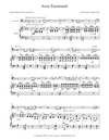Tchaikovsky - Aveu Passionne (Transcribed for Cello and Piano)