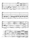 Vivaldi - Cello Concerto in C minor, RV 401 (Urtext Edition)