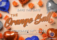 The Orange Ball (MS Gala)