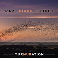 Rare Birds in Flight at Cafe Mueller HEB