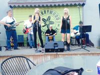 Rare Birds in Flight at Cherrywood Coffeehouse