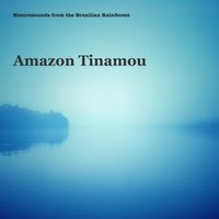Amazon Tinamou by Naturesounds from the Brazilian Rainforest