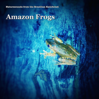 Amazon Frogs by Naturesounds from the Brazilian Rainforest