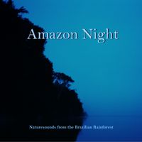 Amazon Night by Naturesounds from the Brazilian Rainforest