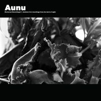 Nocturnal Recordings, Vol. 2: Ambient Live Recordings from the Dark of Night by Aunu