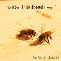 Inside the Beehive 1 by The Quiet Spaces