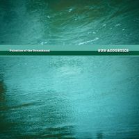 Pulsation of the Donaukanal by Sub Acoustics