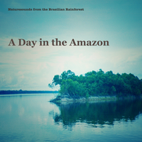A Day in the Amazon by Naturesounds from the Brazilian Rainforest
