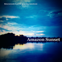Amazon Sunset by Naturesounds from the Brazilian Rainforest