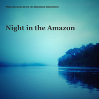 Night in the Amazon by Naturesounds from the Brazilian Rainforest