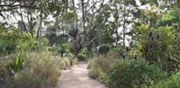 EXHIBITION: Woody Grasslands 