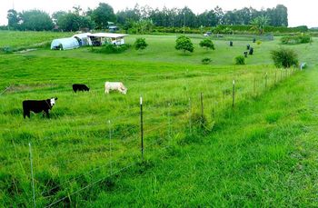 beautiful farm
