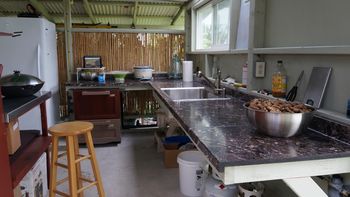 outdoor kitchen with bowl of tumeric
