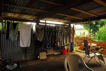 lanai beginning
