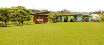 hale with barn and greenhouse
