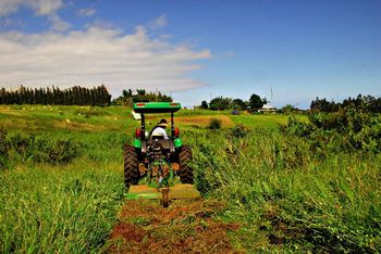 Victor mows the cane road
