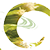Circlesing Hawaii
