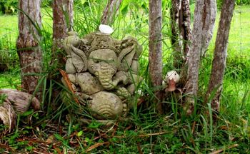 Gabby and Ganesha
