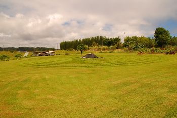 concentric circles for tea crop
