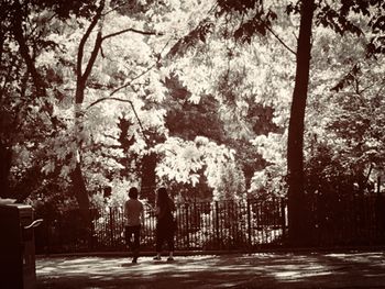 Thompkins Square Park, NYC
