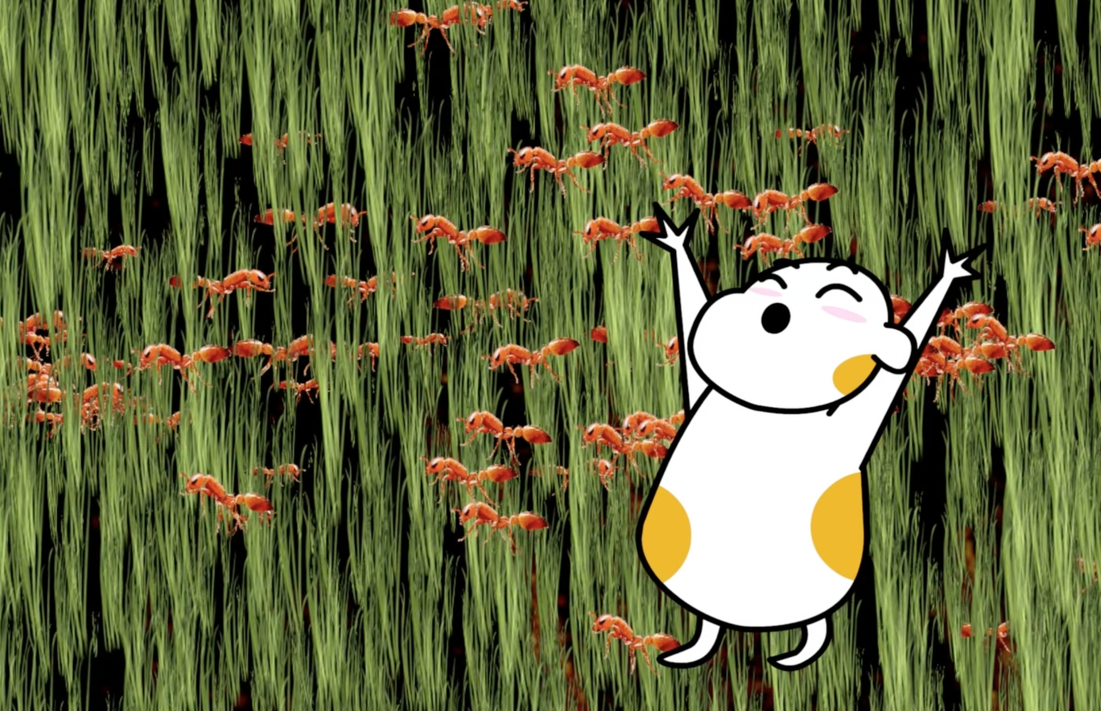 Still from 