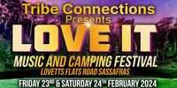 Pete Cornelius band perform at Love IT music festival