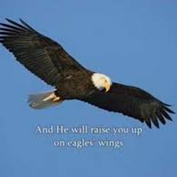 On Eagle's Wings